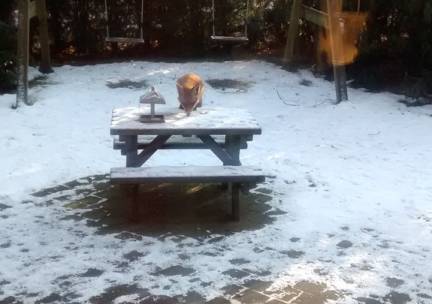 6 Persoons boshuisje in Emst op park de Vliegden