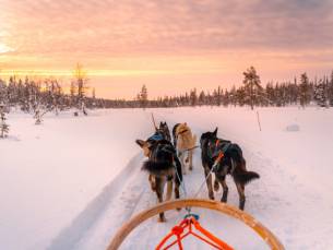 ALLES IN 1-DEAL: Fins Lapland! ❄️ 5-daagse reis incl. vlucht, ontbijt, lunch, diner en 5 excursies: Huskytocht, bezoek Santa Claus Village & MEER!