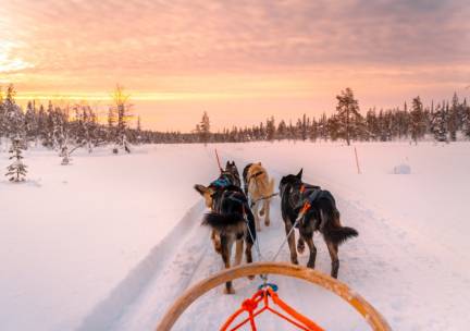 ALLES IN 1-DEAL: Fins Lapland! ❄️ 5-daagse reis incl. vlucht, ontbijt, lunch, diner en 5 excursies: Huskytocht, bezoek Santa Claus Village & MEER!
