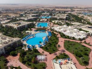 Desert Rose
