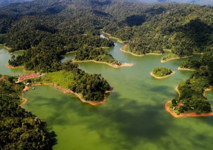 De natuur van Belum Rainforest