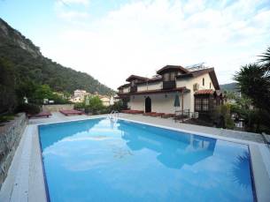 Villa Daffodil