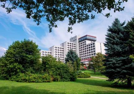 Hotel AHORN Berghotel Friedrichroda