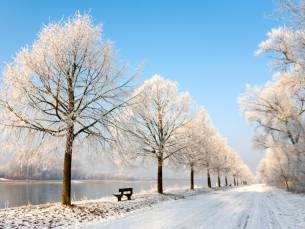Geniet van een ALL-INCLUSIVE (light) verblijf in het sfeervolle Kamp-Bornhofen en vier de winter aan de Rijn incl. gastenkaart, wandelkaart, kortingen en meer!