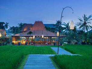 Alaya Ubud