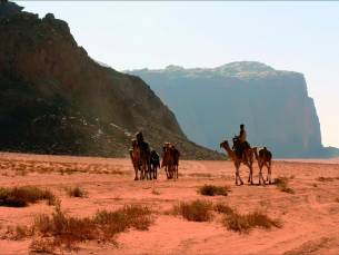 Fly-drive Cultuur & Natuur Jordanië