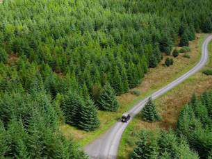 Forest & Coast Explorer