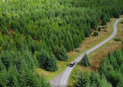 Forest & Coast Explorer