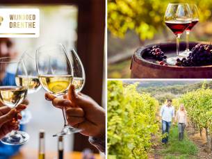 Wijnproeverij (2 uur) of wandelarrangement bij Wijngoed Drenthe