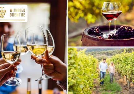 Wijnproeverij (2 uur) of wandelarrangement bij Wijngoed Drenthe