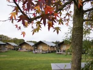 Luxe Safarilodge - 4 personen