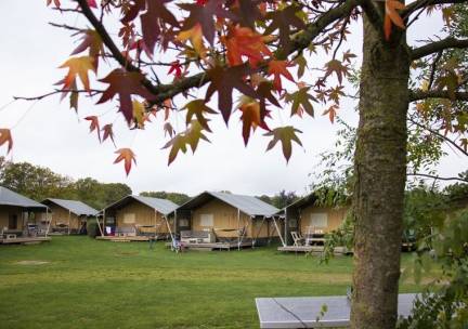 Luxe Safarilodge - 4 personen