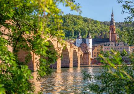 Door het romantische Rijndal naar Mainz met mps Johann Strauss