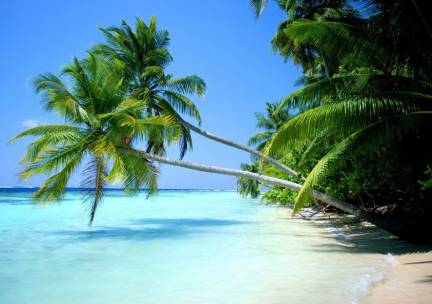 Magisch Molukken & Bali