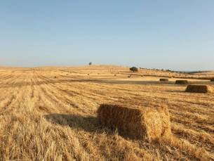 Fly-drive Portugal deluxe (hotels) 12 dagen