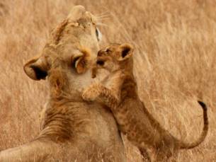 Rift Valley Trails Safari
