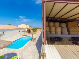 Sa Caseta De Ses Vaques.son Covas (Sa Vaqueria 2)