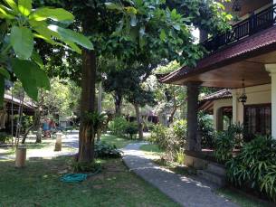 Bumas