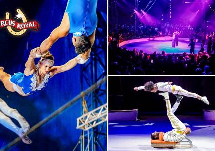 Entree Dordts Wintercircus Royal
