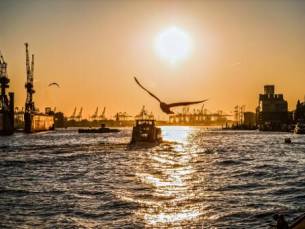 Bekijk de beroemde Hamburgse haven en bezienswaardigheden vanaf het water