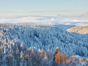 Verblijf in het hart van het Zwarte Woud in kuuroord Bad Herrenalb incl. ontbijt, diner, wellness + GRATIS parkeren