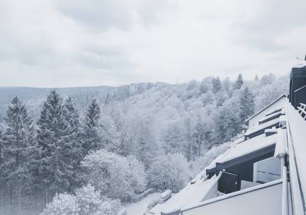 Appartement - Am Waltenberg 70-MA | Winterberg 'The Condo'