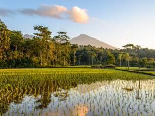 Bali en Lombok