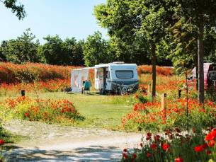 ⛺ Kamperen Comfort Plus