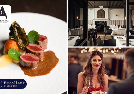 5-gangenlunch of -diner bij Michelinster-restaurant Vivendum