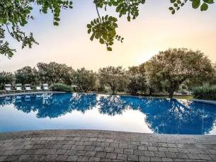 Masseria degli Ulivi