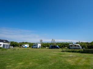 Minicamping Anemoone