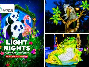 Entree Light Nights in Ouwehands Dierenpark