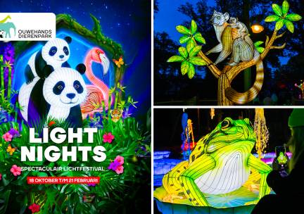 Entree Light Nights in Ouwehands Dierenpark