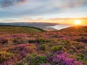 Somerset and the Cotswolds