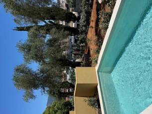 Tessera Boutique Hotel - adults only