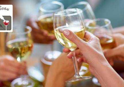 Wijnproeverij (1,5 uur) aan huis voor 4 tot 10 personen