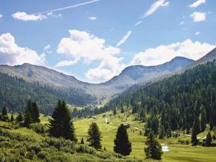 All inclusive door Karinthië en Tirol