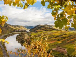 SUPER DEAL! ⚡ Geniet in Cochem met uitzicht op de Moezel incl. ontbijt en GRATIS leuke extra's