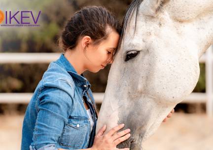 Paardencoaching naar keuze