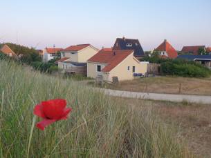 De Duinpan - Duinhuisje Texel