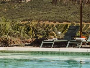 B&B Finca Viva La Vida