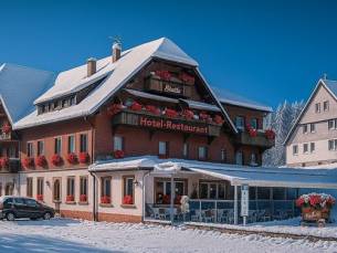 Hotel Faller