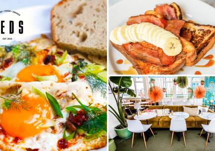 Brunch- of lunchgerecht naar keuze bij Teds Op 't Dak in hartje Rotterdam