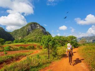 Viñales te paard