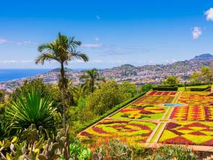 Mooi Madeira