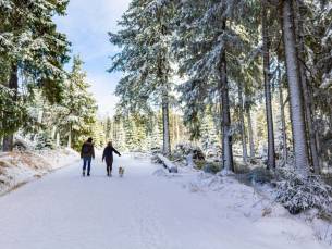 STUNT! ⚡ 3 dagen winterplezier in de Harz incl. 4*-hotel met ontbijt & wellness!