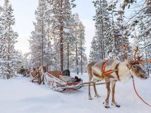 WINTER STUNT! ❄ Geniet van een 9- of 10-daagse winterreis naar Finland incl. overtocht en UNIEKE excursies t.w.v. &euro; 190,00!