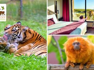 Overnachting voor 2 of een gezin + ontbijt + entree safariparken nabij Parijs
