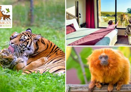 Overnachting voor 2 of een gezin + ontbijt + entree safariparken nabij Parijs