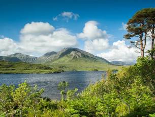 Ierland, 40 tinten groen